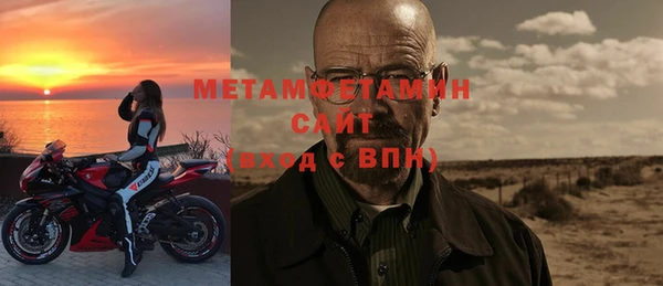 шишки Сатка