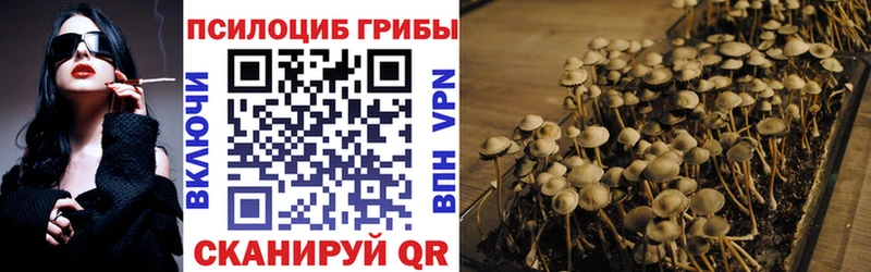дарнет шоп  Полевской  Галлюциногенные грибы Psilocybe 