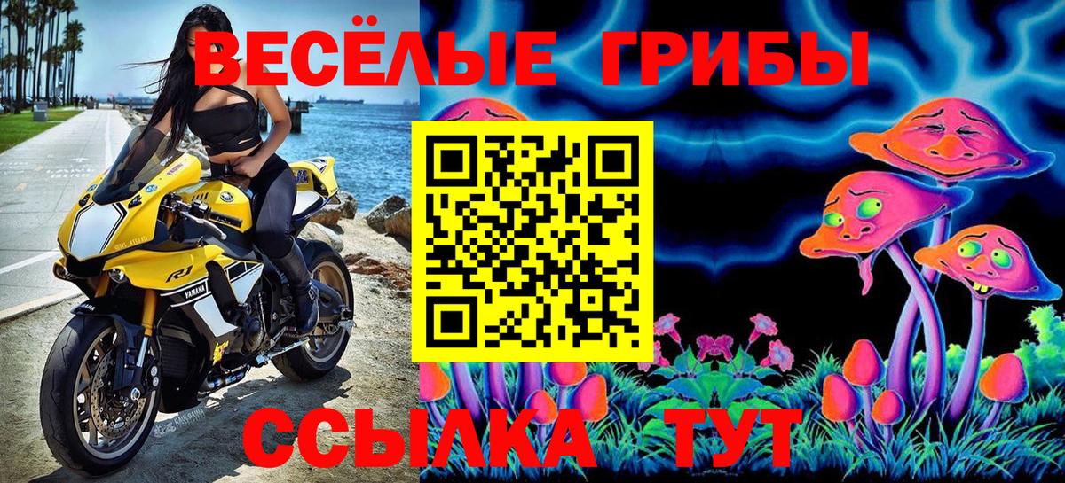 Псилоцибиновые грибы Psilocybine cubensis Полевской