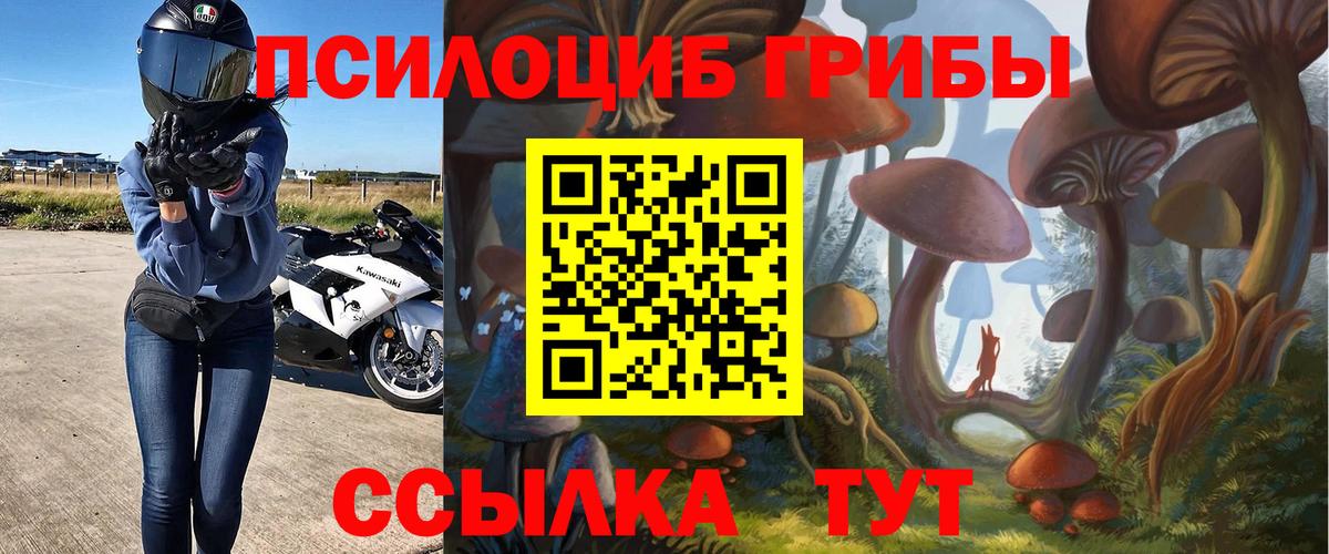 Полевской  Галлюциногенные грибы прущие грибы  Вход с VPN  Псилоцибиновые грибы ЛСД 
